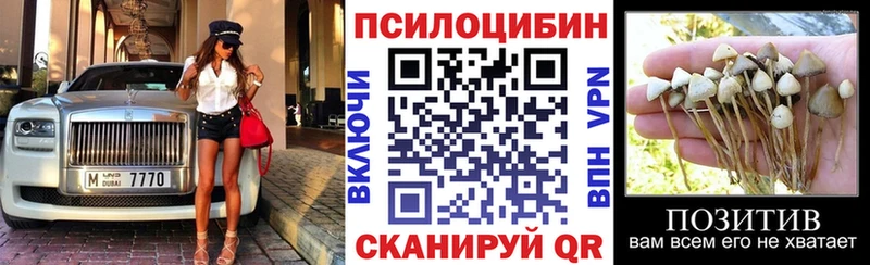 купить закладку  Тамбов  Псилоцибиновые грибы прущие грибы 